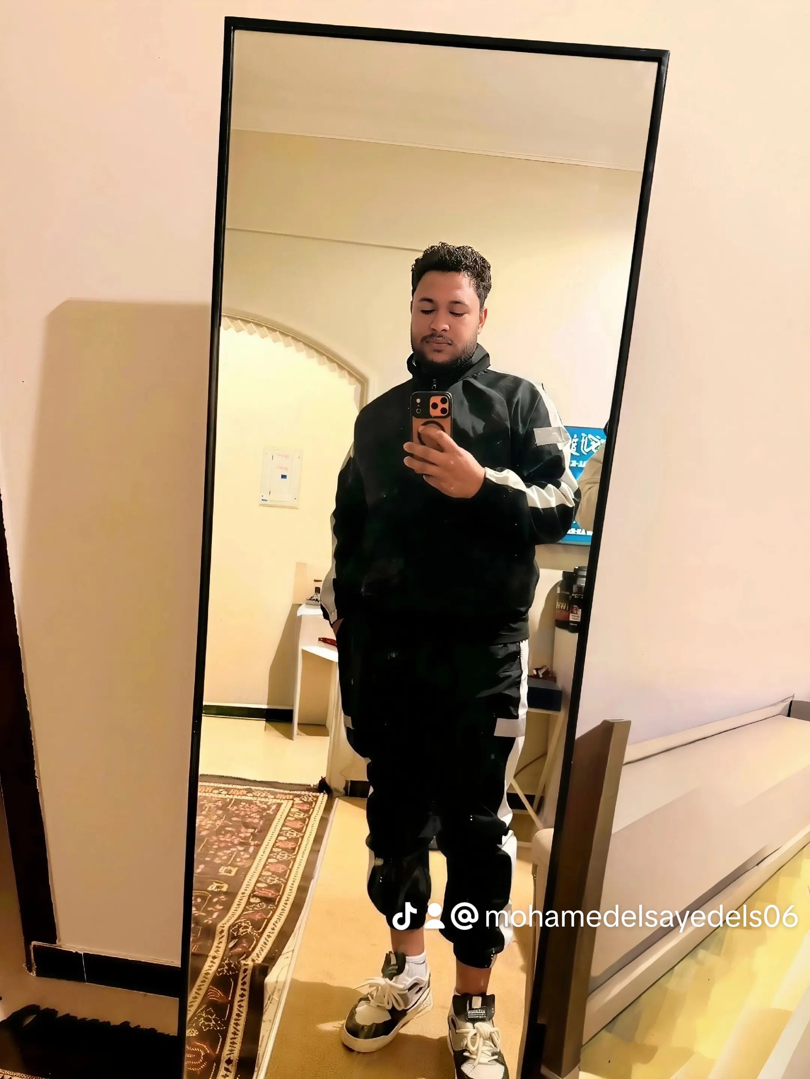 محمد السيد أحمد عبد المجيد الدسوقى