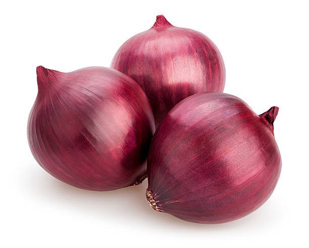 البصل