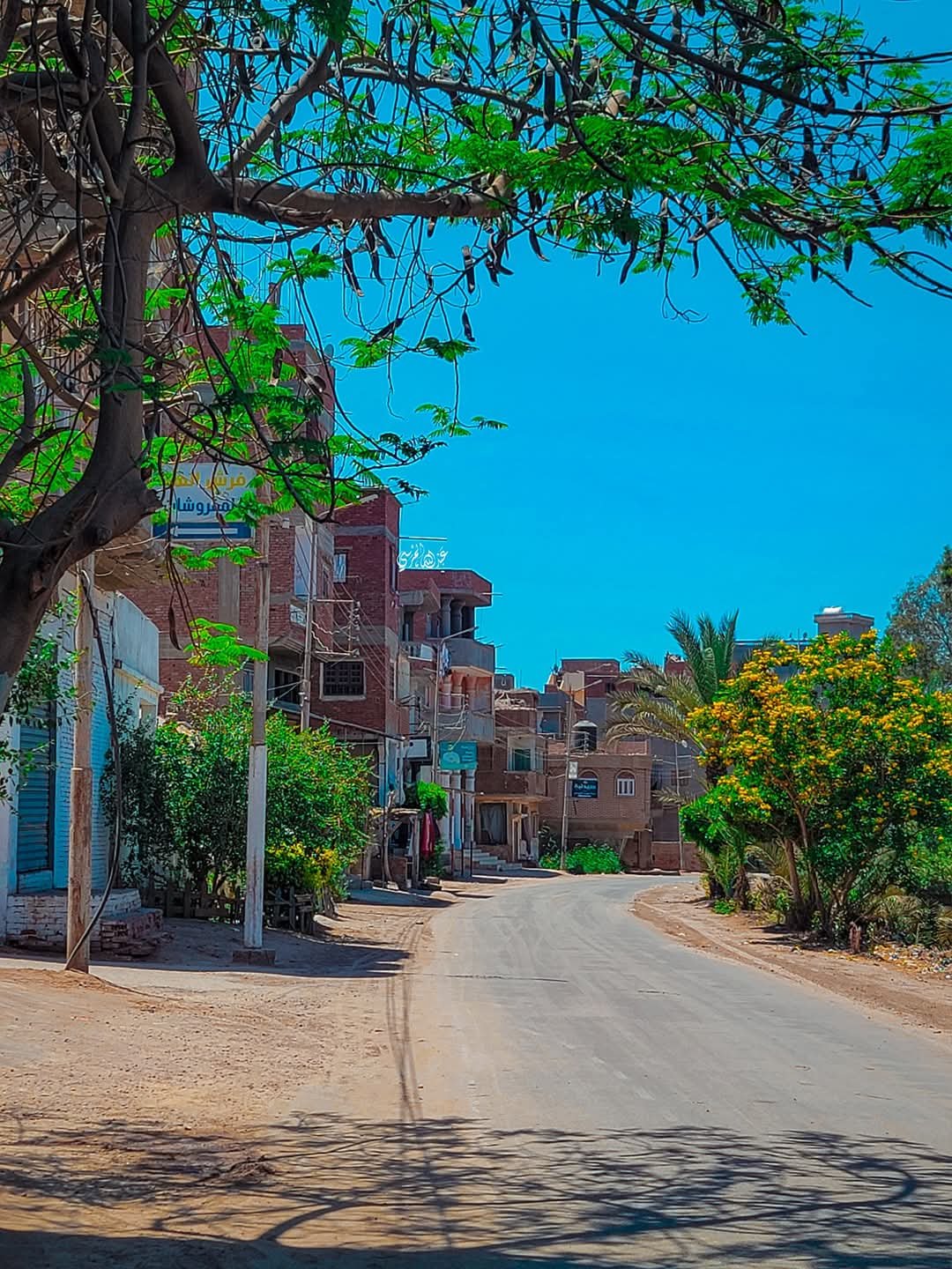 صورة جماليه