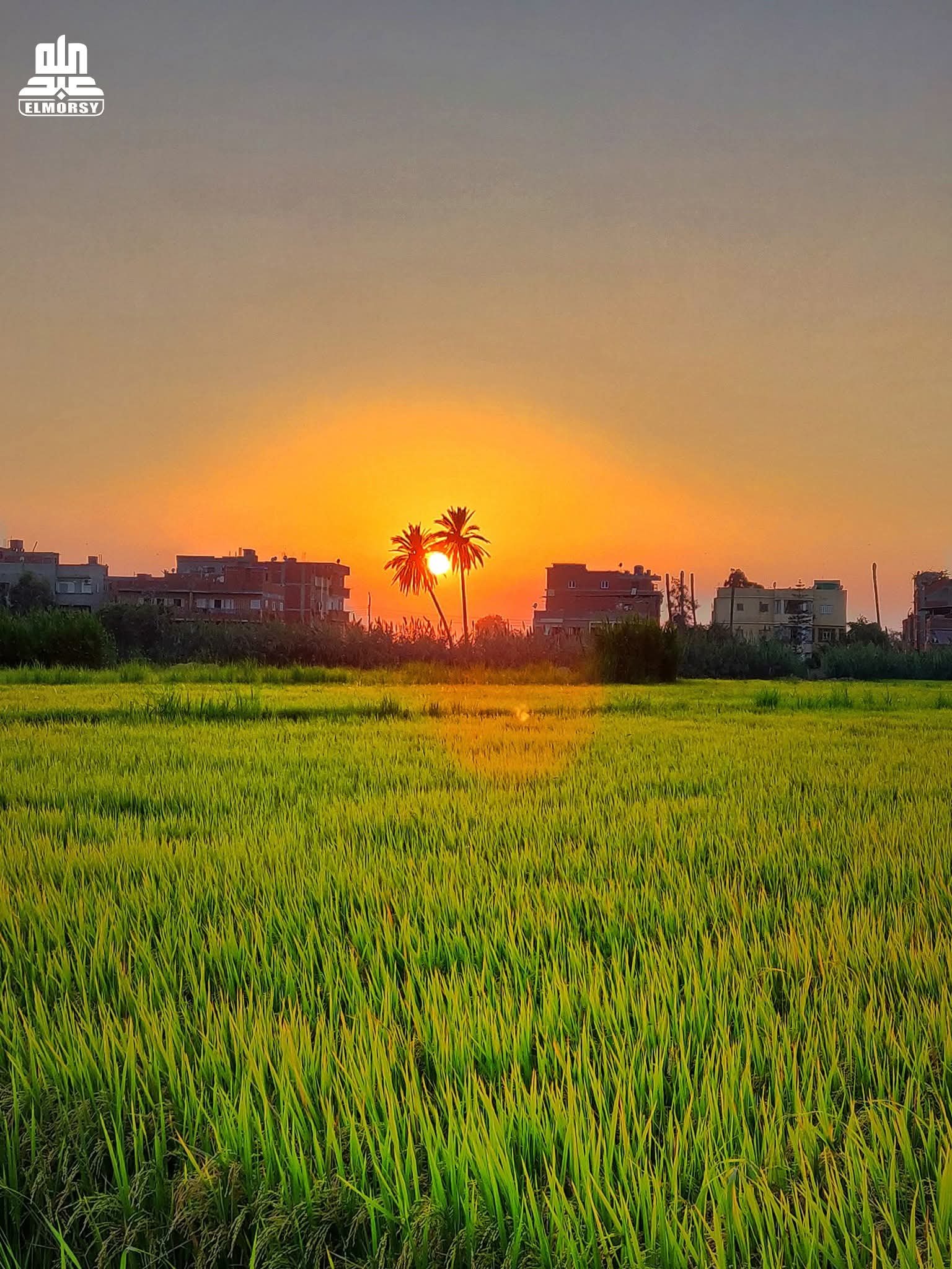 ريف المدينه